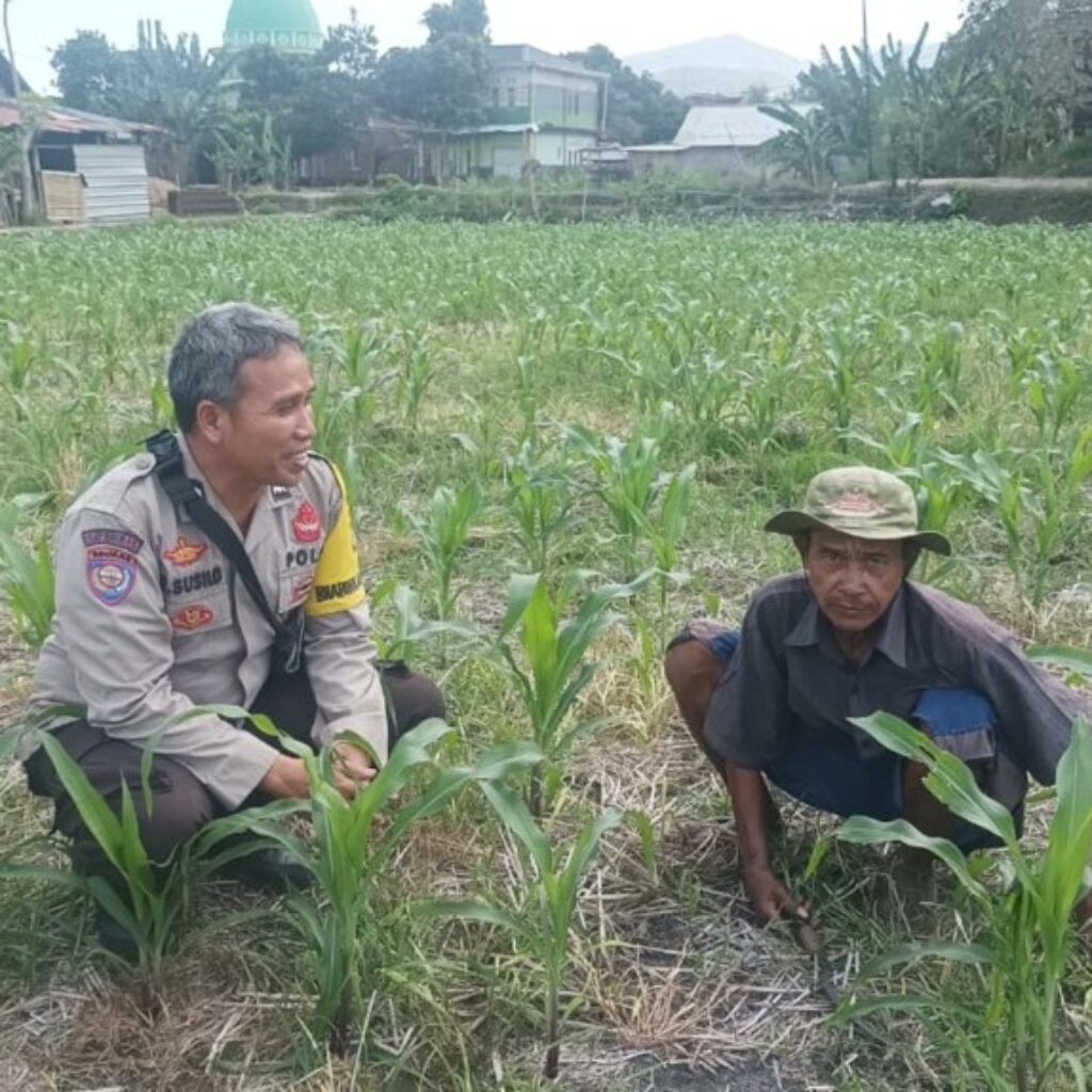 Cara Polsek Batulayar Lombok Barat Perkuat Ketahanan Pangan Desa