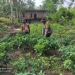 Bhabinkamtibmas Desa Setuta Ajak Warga Manfaatkan Pekarangan dan Jaga Kamtibmas Lingkungan