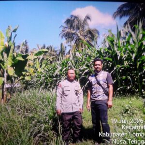 Bhabinkamtibmas Desa Suela Cek Lahan Ketahanan Pangan Bergizi, Dukung Produktivitas Pertanian Warga