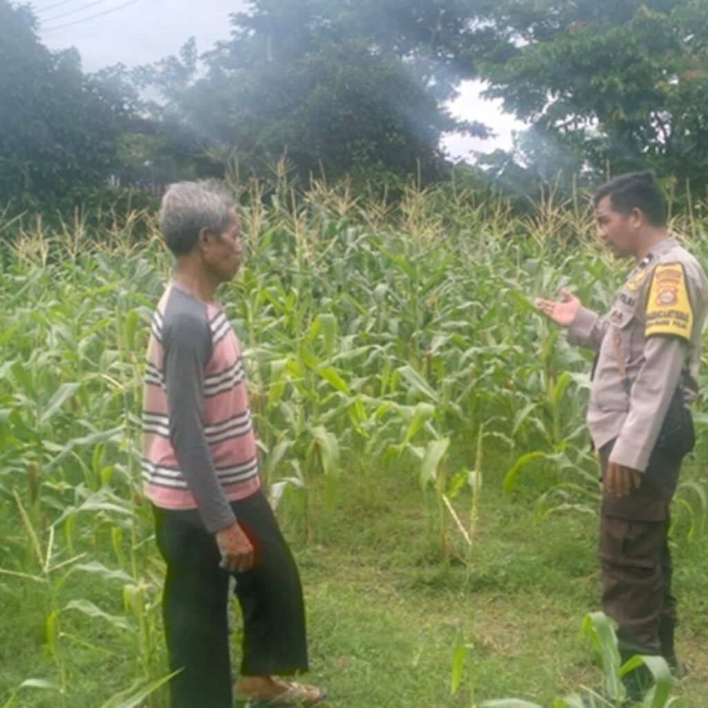 Cara Bhabinkamtibmas Desa Sandik Sukseskan Ketahanan Pangan