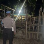 Antisipasi Pencurian Ternak, Polsek Sekotong Patroli Dini Hari