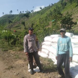 BHABINKAMTIBMAS POLSEK WOJA PANTAU PANEN JAGUNG WARGA, DUKUNG KETAHANAN PANGAN NASIONAL