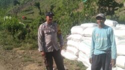 BHABINKAMTIBMAS POLSEK WOJA PANTAU PANEN JAGUNG WARGA, DUKUNG KETAHANAN PANGAN NASIONAL