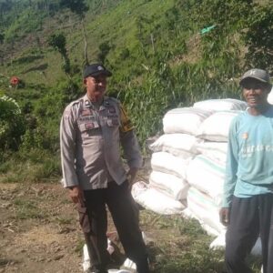 BHABINKAMTIBMAS POLSEK WOJA PANTAU PANEN JAGUNG WARGA, DUKUNG KETAHANAN PANGAN NASIONAL