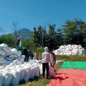 BHABINKAMTIBMAS DESA WOKO PANTAU PROSES PENGGILINGAN DAN PENJEMURAN JAGUNG.