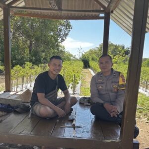Pastikan Keamanan Area Perkebunan, Bhabinkamtibmas Desa Rhee Loka Sambangi Petani Cabai