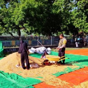 PANTAU PENJEMURAN JAGUNG WARGA, BHABINKAMTIBMAS DESA SAWE DUKUNG KETAHANAN PANGAN NASIONAL