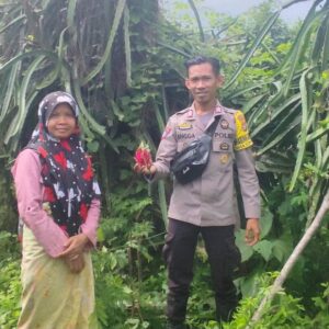 BHABINKAMTIBMAS DESA SONGGAJAH DORONG PEMANFAATAN PEKARANGAN RUMAH UNTUK KETAHANAN PANGAN DAN PENINGKATAN EKONOMI WARGA