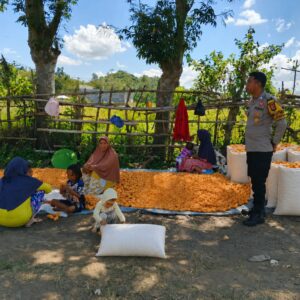 BHABINKAMTIBMAS DESA BANGGO AJAK PETANI SALURKAN HASIL PANEN KE BULOG DAN DUKUNG PEMBERANTASAN NARKOBA