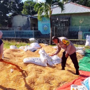 Bhabinkamtibmas dan Petani Bersinergi Perkuat Ketahanan Pangan di Kabupaten Dompu