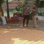Polri Dukung Astacita, Polsek Semanding Polres Tuban Turun Cek Tanaman jagung milik Warga di Desa Prunggahan kulon