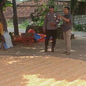 Polri Dukung Astacita, Polsek Semanding Polres Tuban Turun Cek Tanaman jagung milik Warga di Desa Prunggahan kulon