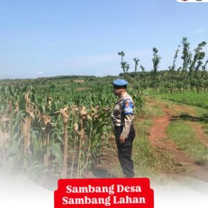 Polri Dukung Astacita, Polsek Merakurak Polres Tuban Turun Cek Tanaman Jagung Warga di Desa Sumberjo