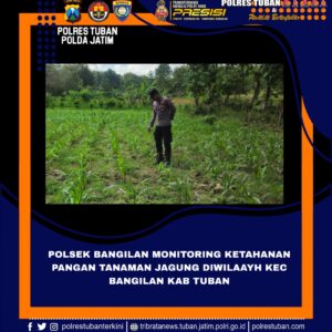 Polri Dukung Astacita, Polsek Bangilan Polres Tuban Turun Cek Tanaman Jagung Warga di Desa Banjarworo