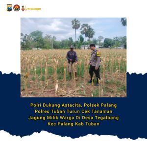 Polri Dukung Astacita, Polsek Palang Polres Tuban Turun Cek Tanaman jagung milik Warga di Desa Tegalbang