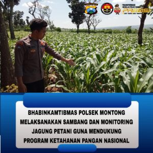 Polsek Montong Polres Tuban Turun Cek Tanaman jagung Warga di Desa Bringin