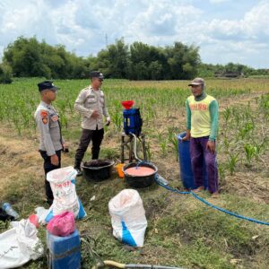 Anggota Unit Binmas Polsek Senori Polres Tuban Membantu Proses Pemupukan Tanaman Jagung Warga Desa Jatisari