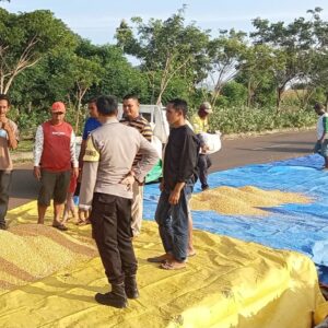 BHABINKAMTIBMAS DESA HU’U DAMPINGI PETANI JAGUNG, DUKUNG KETAHANAN PANGAN DAN KEMANDIRIAN EKONOMI WARGA