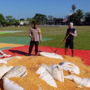 Bhabinkamtibmas dan Petani Bersinergi Perkuat Ketahanan Pangan di Kabupaten Dompu