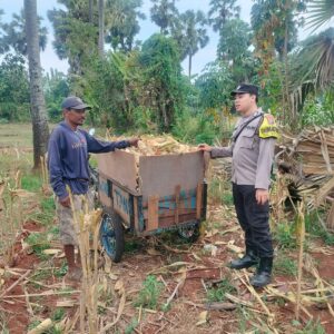 Polri Dukung Astacita, Polsek Palang Polres Tuban Turun Cek Tanaman jagung milik Warga di Desa Tegalbang