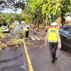 Satlantas Polres Lombok Barat Evakuasi Pohon Tumbang