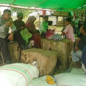 BHABINKAMTIBMAS DESA SANEO DAMPINGI WARGA SAAT PANEN JAGUNG, DORONG PENINGKATAN PRODUKSI PERTANIAN