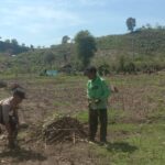 BHABINKAMTIBMAS DESA RABABAKA DORONG PETANI SIAP HADAPI MUSIM TANAM, DUKUNG KETAHANAN PANGAN DAERAH