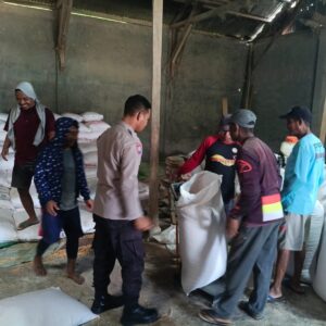 BHABINKAMTIBMAS DESA O’O PANTAU PENGEMASAN DAN PENIMBANGAN JAGUNG, DUKUNG KETAHANAN PANGAN MASYARAKAT