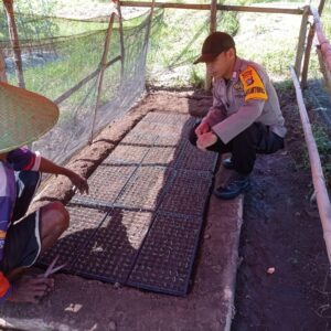BHABINKAMTIBMAS DESA DOREBARA SAMBANGI PETANI SAYUR, DORONG KETAHANAN PANGAN DAN PENINGKATAN EKONOMI KELUARGA