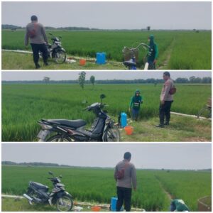 Polsek Soko polres Tuban Polda Jawa Timur Bergerak! Dukung Penuh Swasembada Pangan Presiden Prabowo Melalui Pendampingan Petani