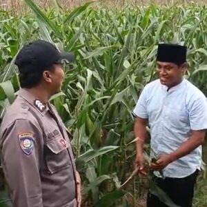 Polsek Grabagan polres Tuban Polda Jawa Timur Dukung Penuh Swasembada Pangan Presiden Prabowo Melalui Pendampingan Petani
