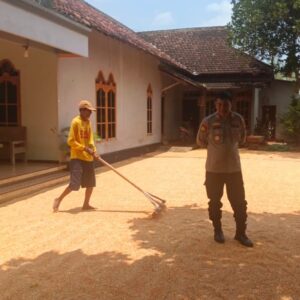 Polri Dukung Astacita, Polsek Semanding Polres Tuban Turun Cek Tanaman jagung milik Warga di Desa Ngino