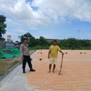 JAGA KUALITAS HASIL PANEN, BHABINKAMTIBMAS DORONG PETANI MANFAATKAN PROGRAM BULOG