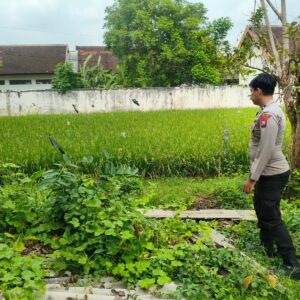 Polri Dukung Astacita, Polsek Merakurak Polres Tuban Turun Cek Tanaman Padi Warga di Desa Tobo
