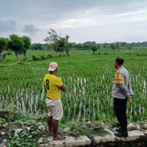 Perkuat Ketahanan Pangan, Bhabinkamtibmas Desa Tolo’oi Dampingi Petani dan Motivasi Pemanfaatan Lahan