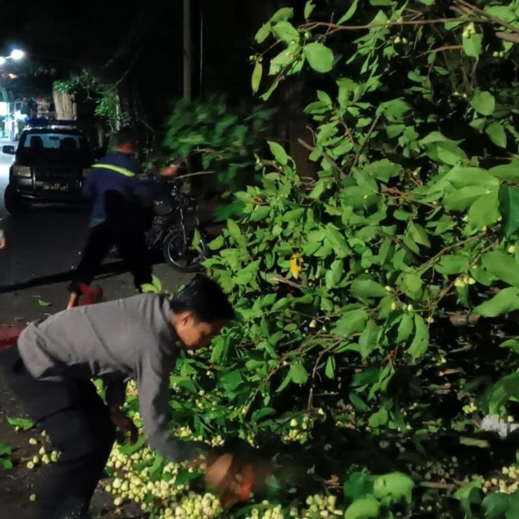 Polsek Batulayar Evakuasi Pohon Tumbang di Jalur Senggigi Lombok Barat