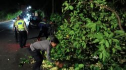 Patroli Malam Polsek Batulayar Evakuasi Pohon Tumbang di Tanjakan Alberto