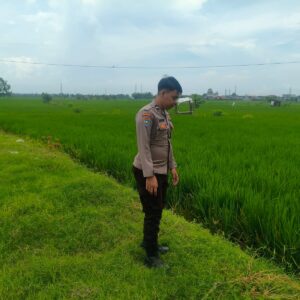 Polri Dukung Astacita, Polsek Merakurak Polres Tuban Turun Cek Tanaman Padi Warga di Desa Tobo