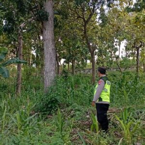 Polri Dukung Astacita, Polsek Rengel Polres Tuban Turun Cek Tanaman Jagung Warga di Desa Rengel