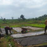 Anggota Bhabinkamtibmas Polsek Jenu Polres Tuban Turun ke Ladang, sambang lahan pertanian.