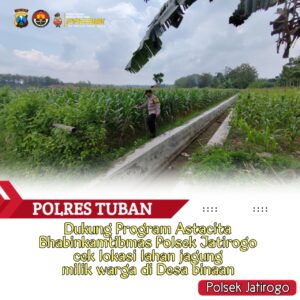Polri dukung progam Astacita, Polsek Jatirogo Polres Tuban Turun Cek Tanaman jagung Warga di Desa Kebonharjo