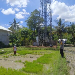 Perkuat Ketahanan Pangan, Bhabinkamtibmas Desa Ngeru Dampingi Petani Padi di Dusun Kalijaga