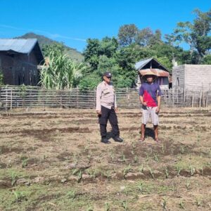 MELALUI PENDAMPINGAN PETANI, POLRI PERKUAT KETAHANAN PANGAN DARI DESA