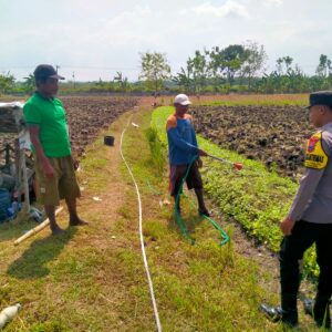 Bhabinkamtimas Polsek Senori Polres Tuban Menanam Jagung Bersama Warga Desa Wanglukulon Dukung Program Ketahanan Pangan