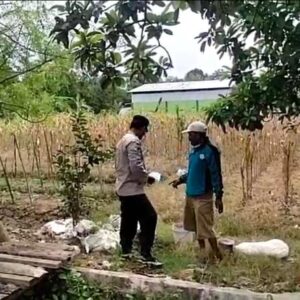 Polri Dukung Astacita, Polsek Merakurak Polres Tuban Turun Cek Tanaman Jagung Warga di Desa Temandang