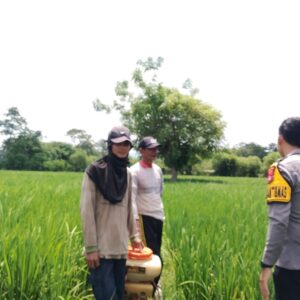 Bhabinkamtibmas Desa Labuhan Bontong Pantau Pertanian Warga Dukung Ketahanan Pangan