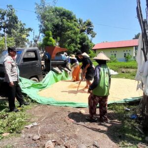 DUKUNG PROGRAM KETAHANAN PANGAN NASIONAL, BHABINKAMTIBMAS DESA DAHA MONITOR HASIL PANEN JAGUNG