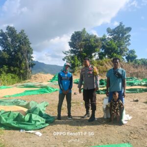 POLSEK HU’U DAMPINGI PETANI JAGUNG, WUJUD NYATA DUKUNGAN POLRI MENUJU INDONESIA EMAS