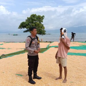 BHABINKAMTIBMAS DESA HU’U PANTAU HASIL PANEN JAGUNG WARGA, DORONG PENYALURAN KE BULOG UNTUK DUKUNG KETAHANAN PANGAN NASIONAL