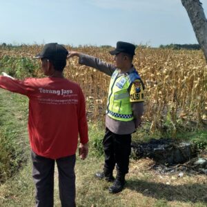 Polri Dukung Astacita, Polsek Rengel Polres Tuban Turun Cek Tanaman Padi Warga di Desa Pekuwon